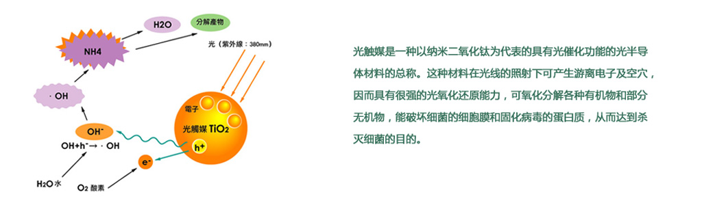 光触媒是一种以纳米二氧化钛为代表的具有光催化功能的光半导体材料，这种材料在光线的照射下可产生游离电子及空穴，因而具有很强的光氧化还原能力，可氧化分解各种有要物和部分无机物，能破坏细菌的细胞膜和固化病毒的蛋白质，从而达到除甲醛、除有害气体的作用。